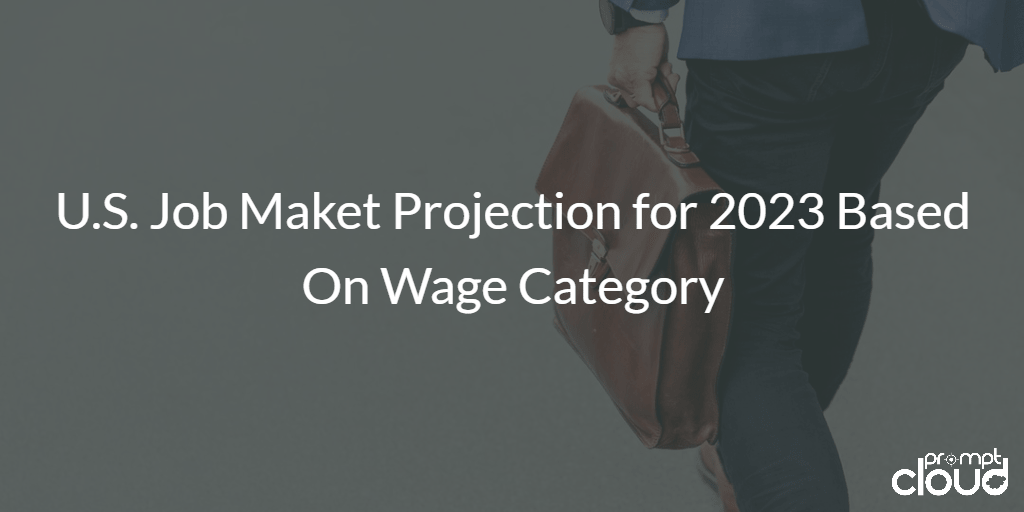 The U.S. Job Market Analysis for 2023 Based on Wage Category