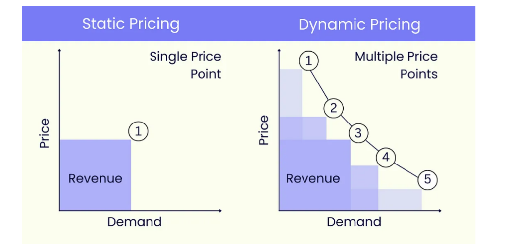 Dynamic Pricing for Maximum Profitability