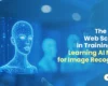 deep learning training with web-scraped image datasets