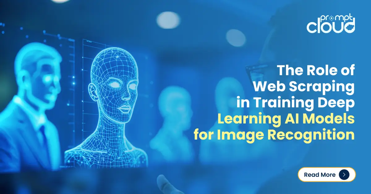 deep learning training with web-scraped image datasets