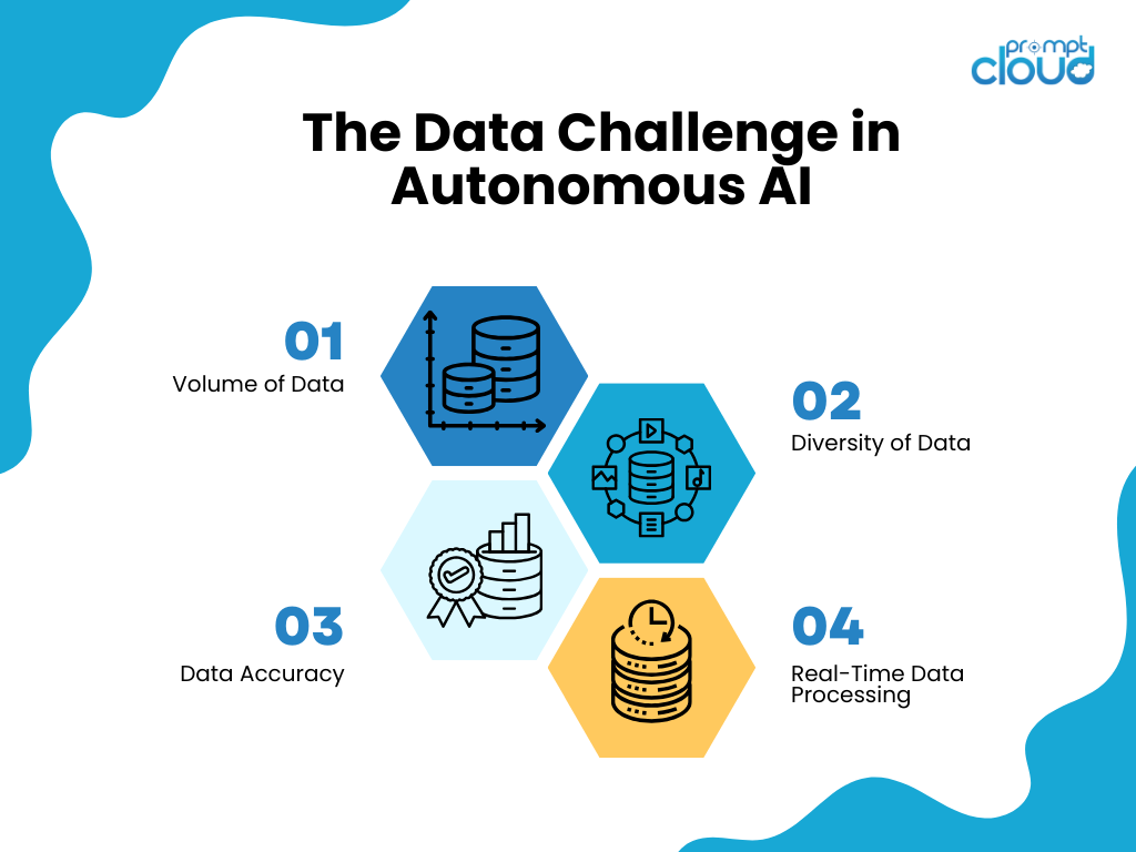 The Data Challenge in Autonomous Al